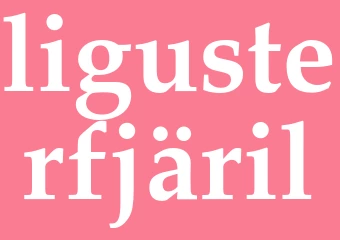 Synonym ligusterfjäril