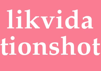 Synonym likvidationshot