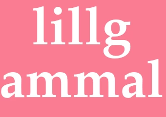Synonym lillgammal