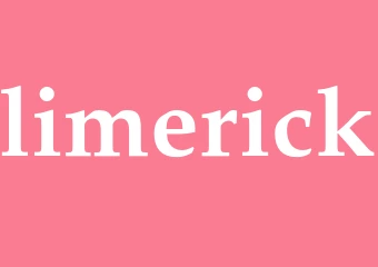 Synonym limerick