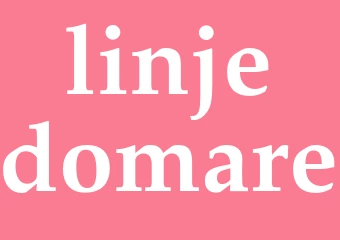 Synonym linjedomare
