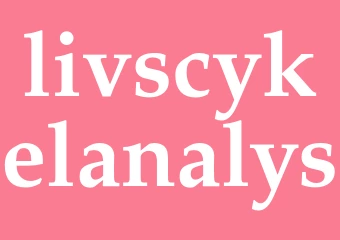 Synonym livscykelanalys