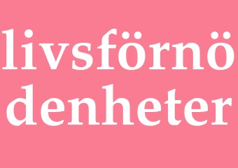 Synonym livsförnödenheter
