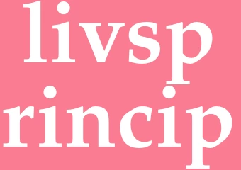Synonym livsprincip