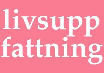 Synonym livsuppfattning