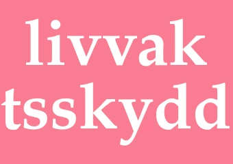 Synonym livvaktsskydd