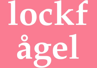 Synonym lockfågel