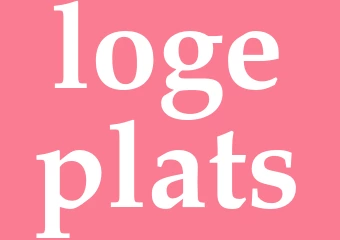 Synonym logeplats