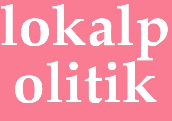 Synonym lokalpolitik