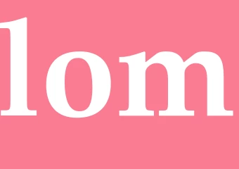 Synonym lom