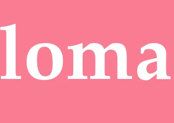 Synonym loma