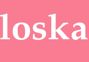 Synonym loska
