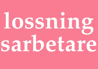 Synonym lossningsarbetare