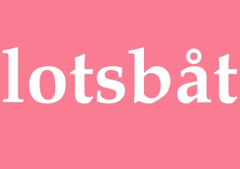 Synonym lotsbåt