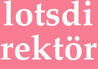 Synonym lotsdirektör