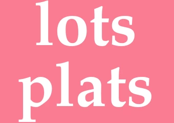 Synonym lotsplats