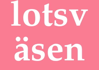 Synonym lotsväsen