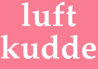 Synonym luftkudde