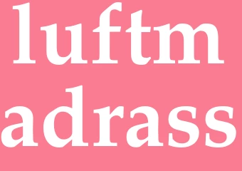Synonym luftmadrass