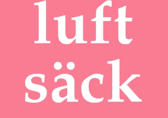 Synonym luftsäck