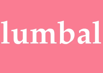 Synonym lumbal