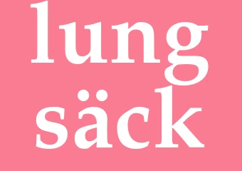 Synonym lungsäck