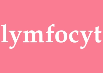 Synonym lymfocyt