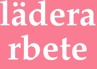 Synonym läderarbete