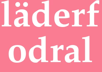 Synonym läderfodral