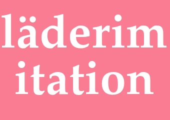 Synonym läderimitation