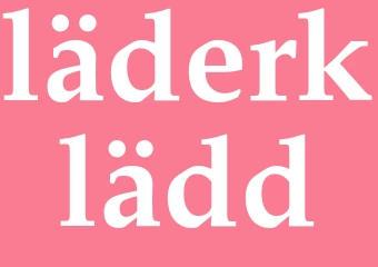 Synonym läderklädd