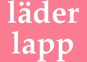 Synonym läderlapp
