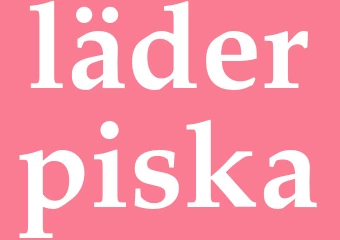 Synonym läderpiska