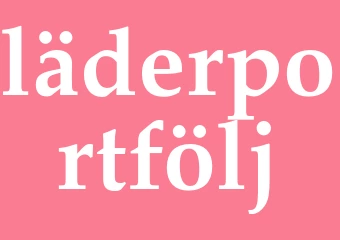 Synonym läderportfölj