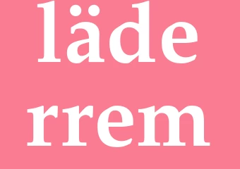 Synonym läderrem