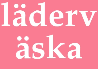 Synonym läderväska