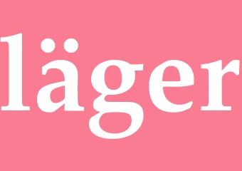 Synonym läger