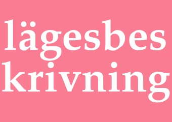 Synonym lägesbeskrivning