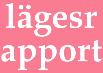 Synonym lägesrapport