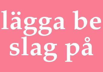 Synonym lägga beslag på