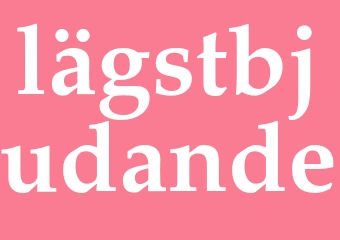 Synonym lägstbjudande