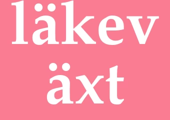 Synonym läkeväxt