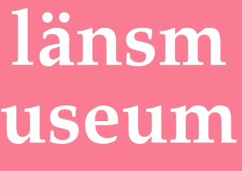 Synonym länsmuseum