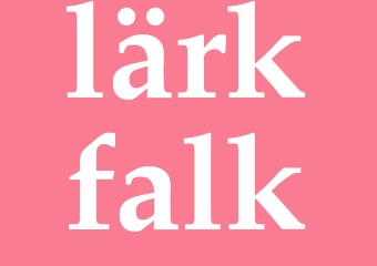 Synonym lärkfalk