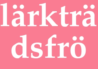 Synonym lärkträdsfrö