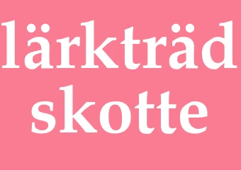 Synonym lärkträdskotte