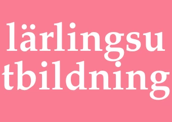 Synonym lärlingsutbildning