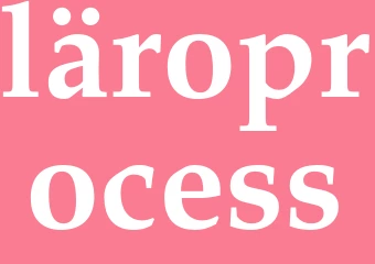 Synonym läroprocess