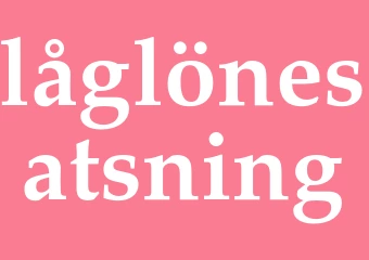 Synonym låglönesatsning