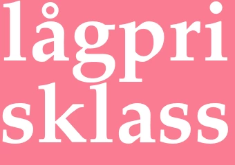 Synonym lågprisklass